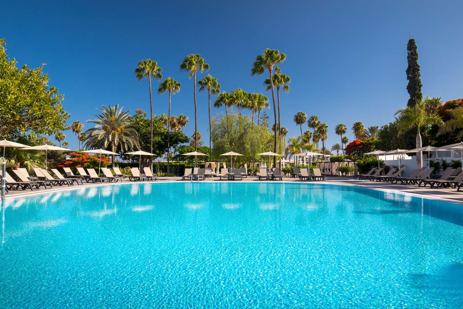 Barcelo Margaritas Royal Level 2