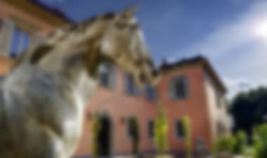 

Marvellous 5-star on the banks of the River Arno