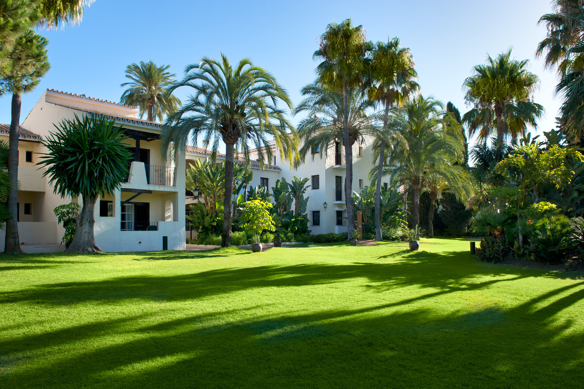 

Milano - Nueva Andalucia - BlueBay Banús
