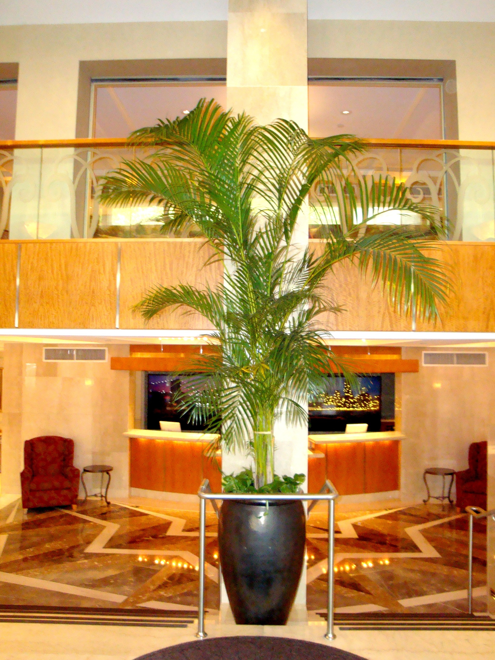 

Napoli - New York - Aeroporto La Guardia - San Carlos Hotel New York
