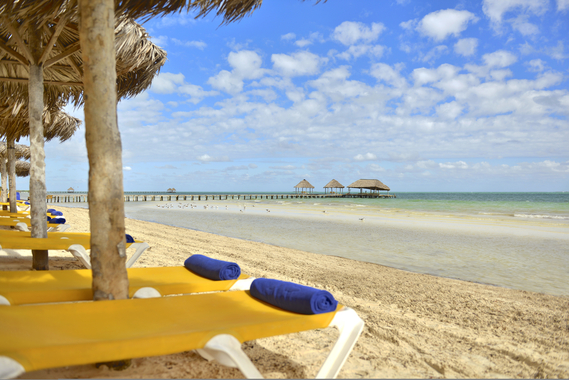 

Firenze - Cayo Guillermo - Iberostar Origin Daiquiri - All Inclusive