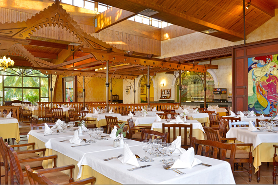 

Venezia - Cayo Guillermo - Iberostar Origin Daiquiri - All Inclusive