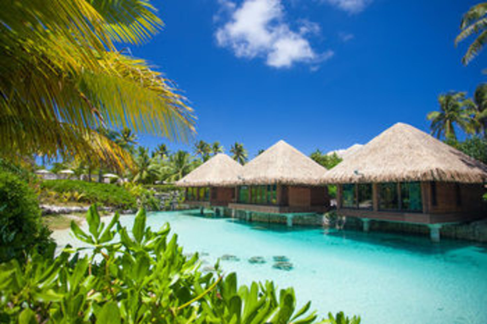 

Bologna - Bora Bora - InterContinental Hotels Bora Bora Resort Thalasso Spa
