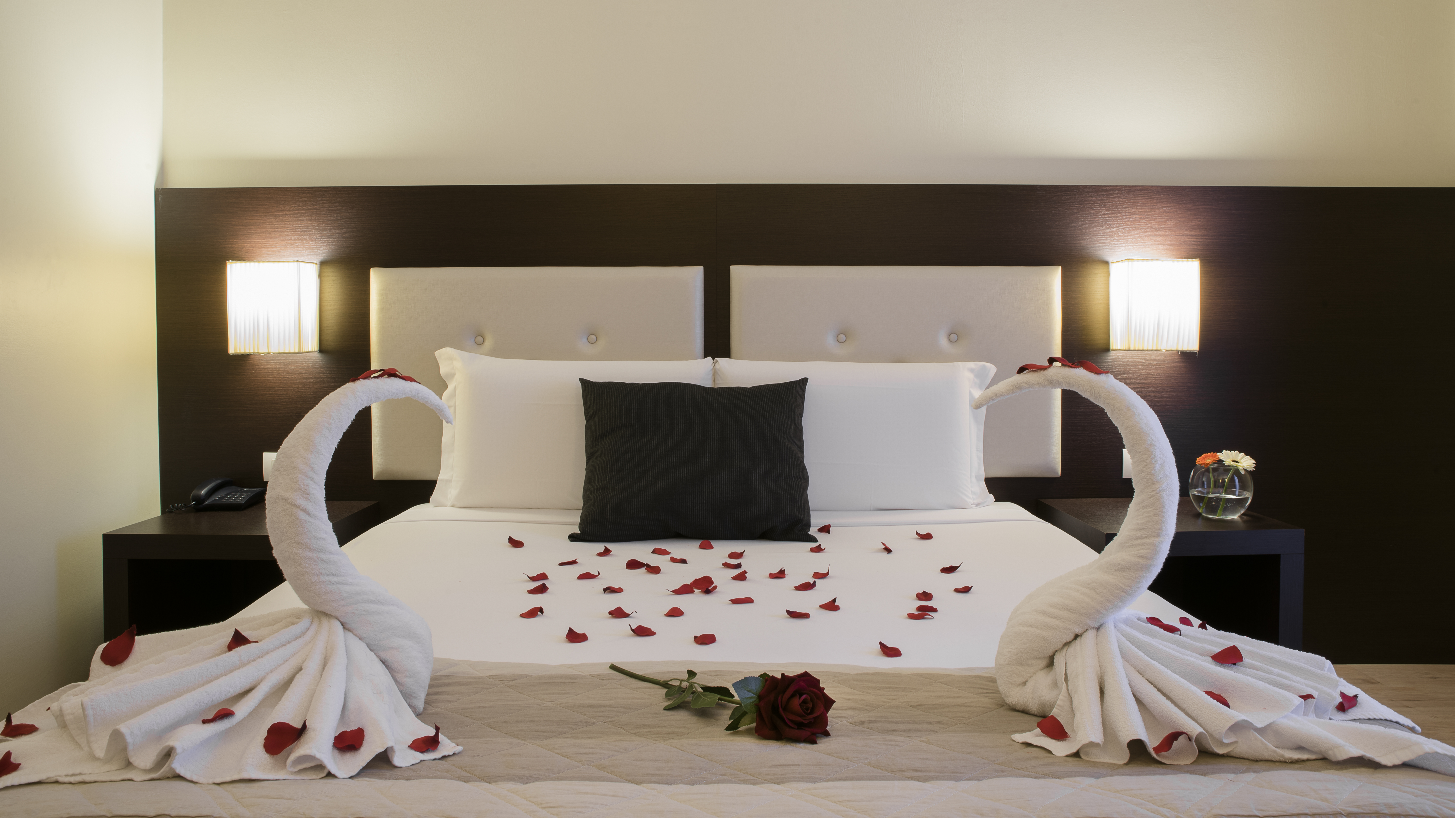

Genova - Siena - Hotel Executive