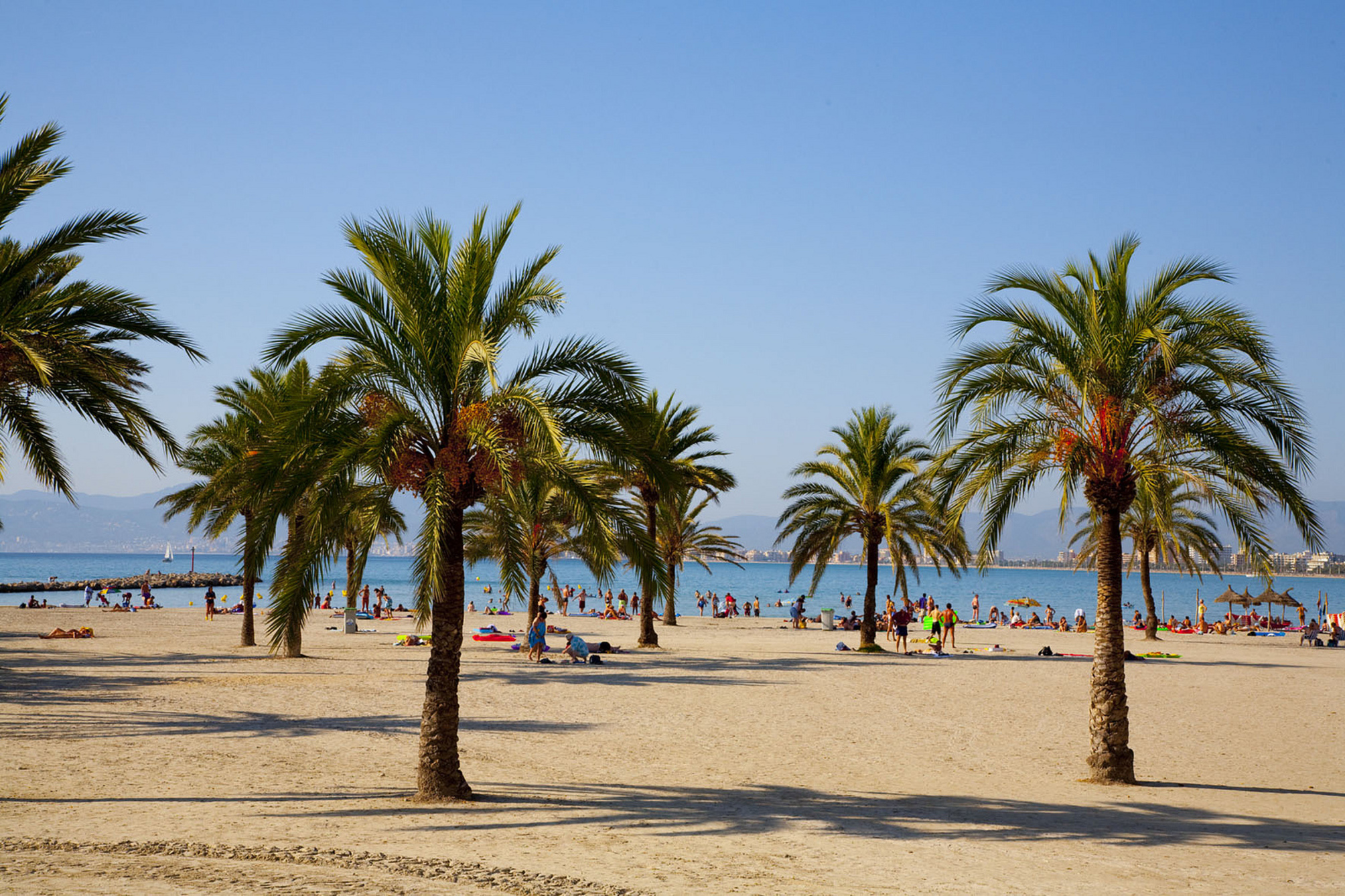 

Milano - Can Pastilla - Whala!Beach