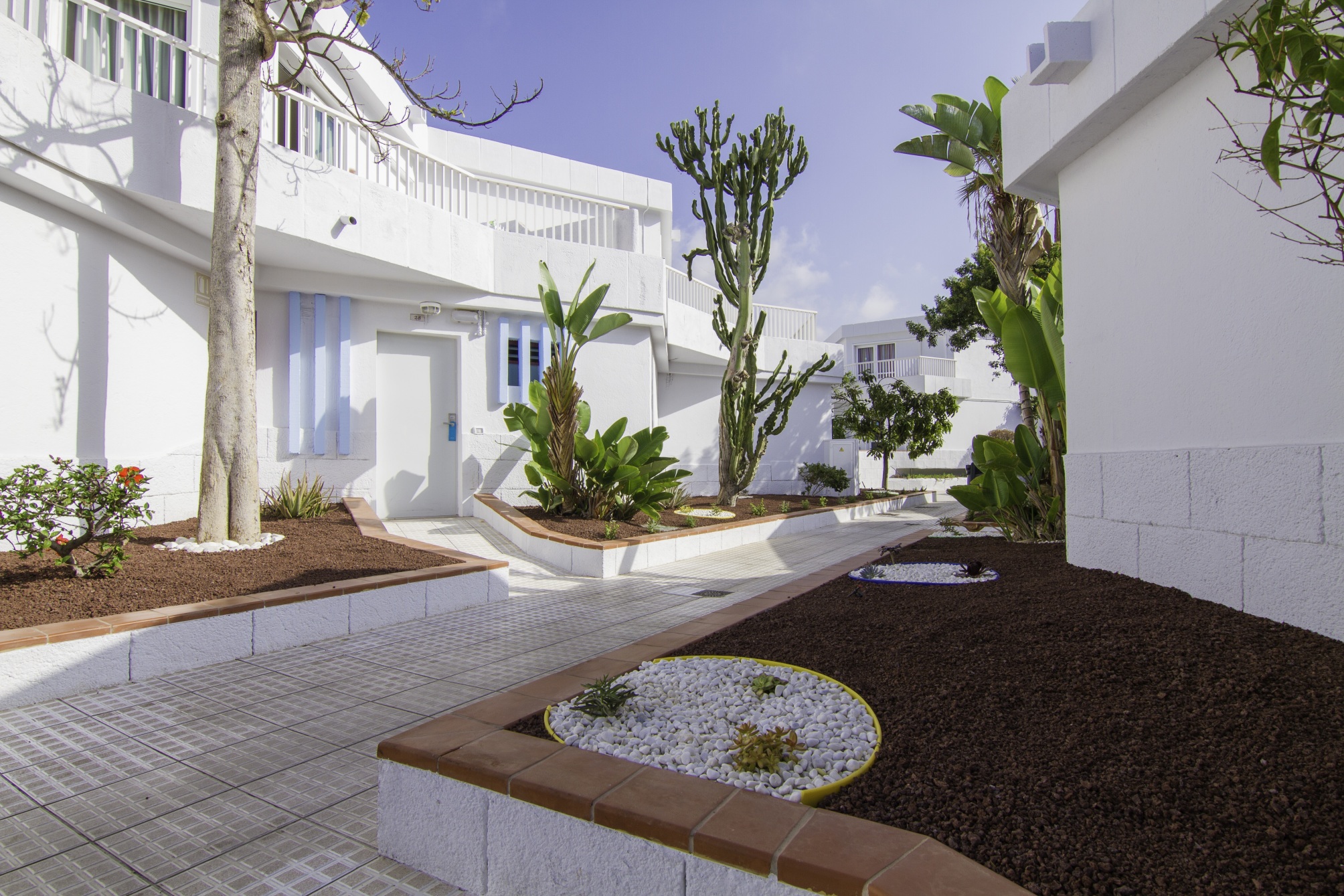 

Firenze - Playa Fañabe - Checkin Bungalows Atlantida