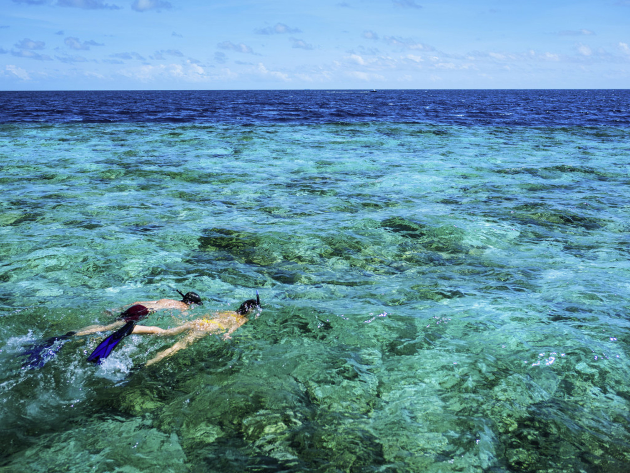 

Trieste - Gaafu Dhaalu Atoll - Mercure Maldives Kooddoo Resort
