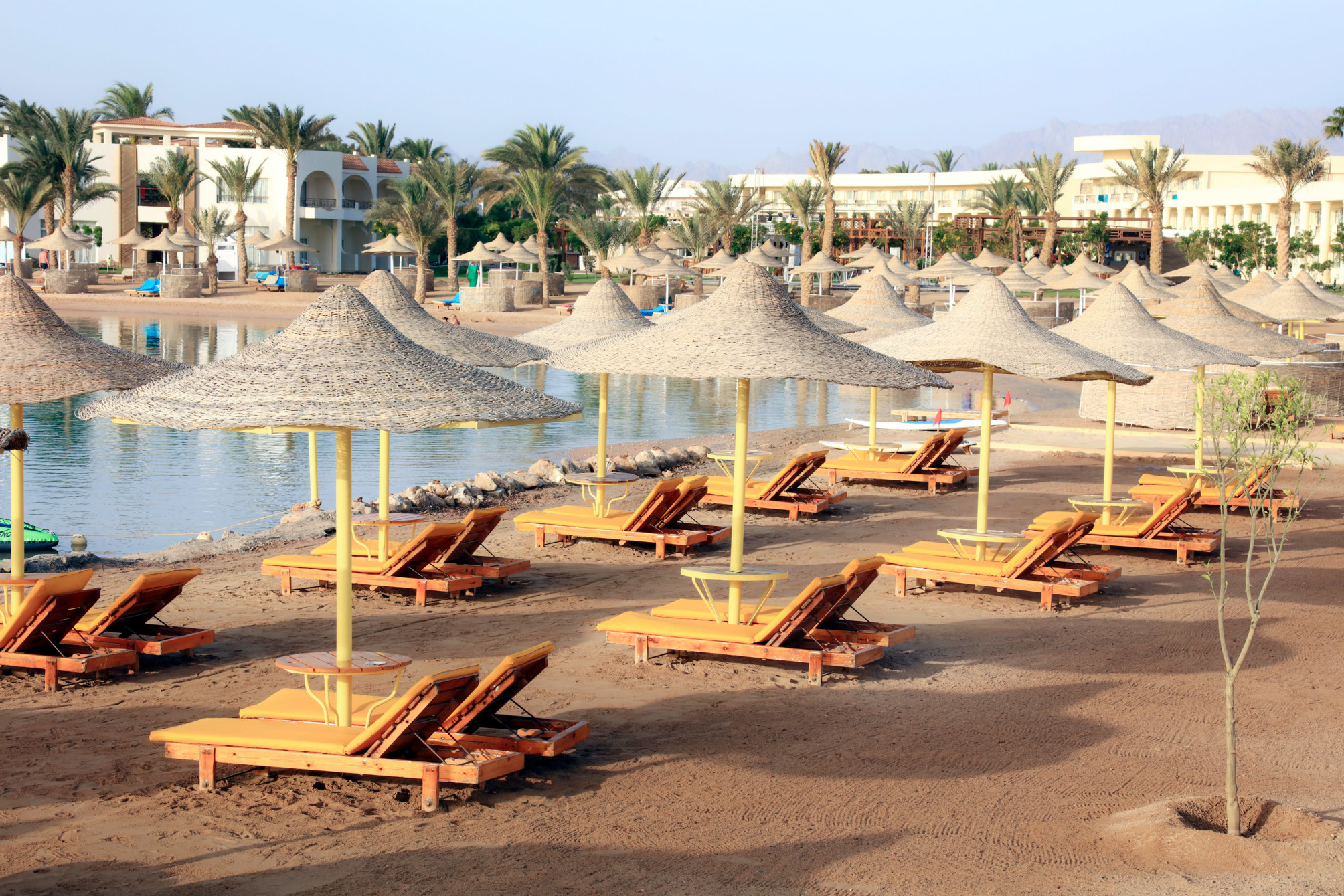

Torino - Makadi Bay - Lemon & Soul Makadi Garden