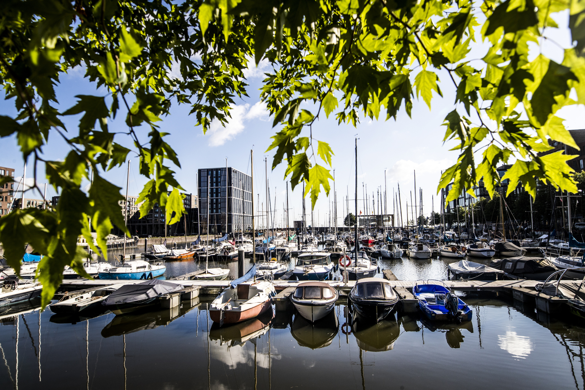 

Roma - Diemen - Four Elements Hotel