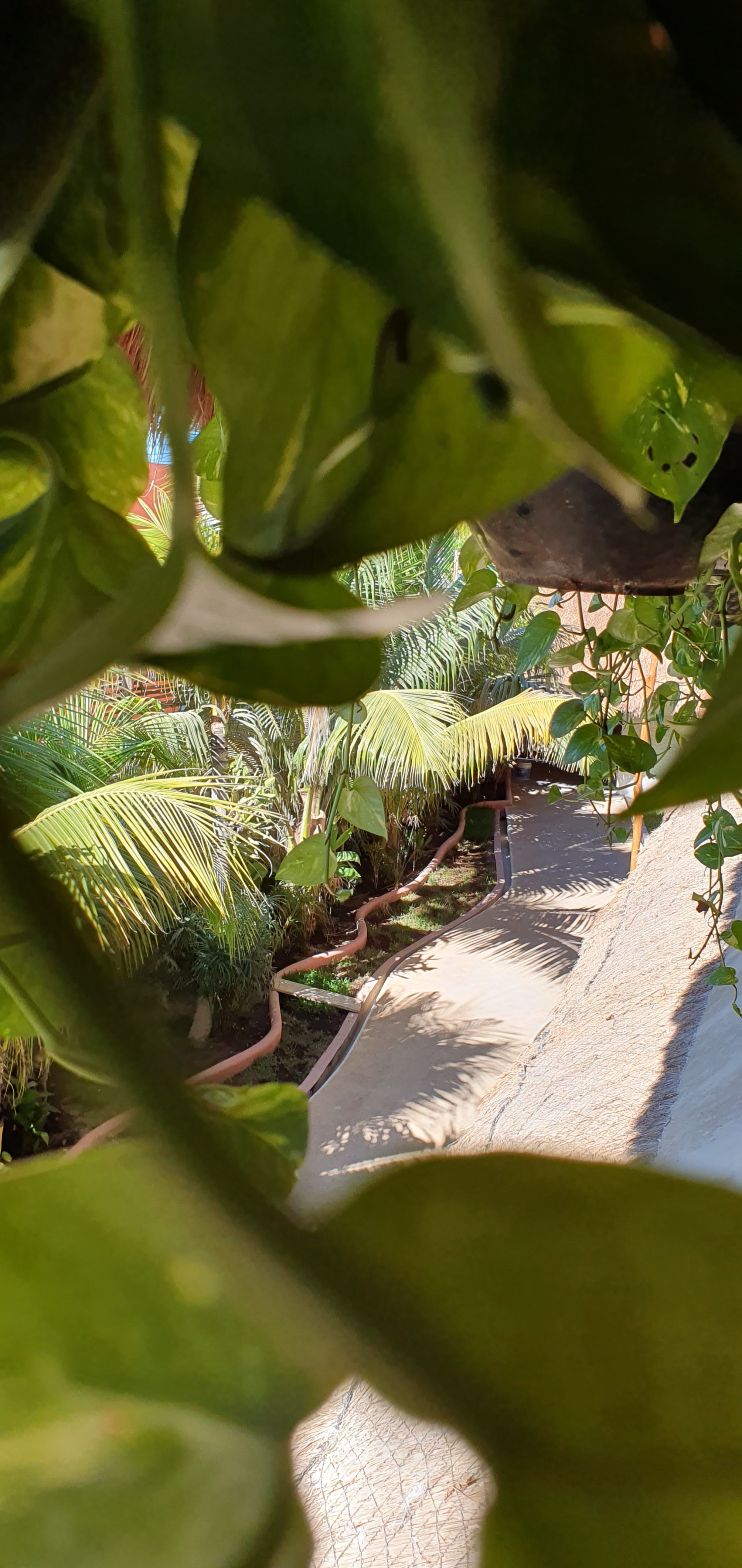 

Verona - Isla Holbox - La Palma Holbox