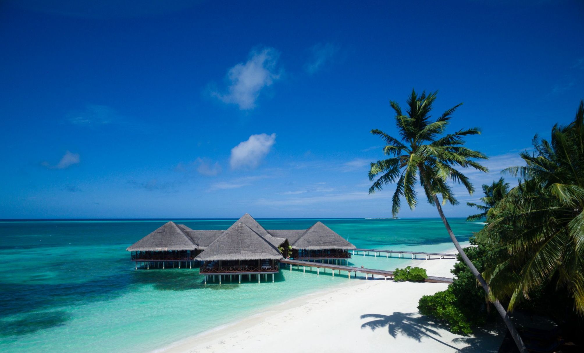 

Bologna - Atollo di Meemu - Medhufushi Island Resort