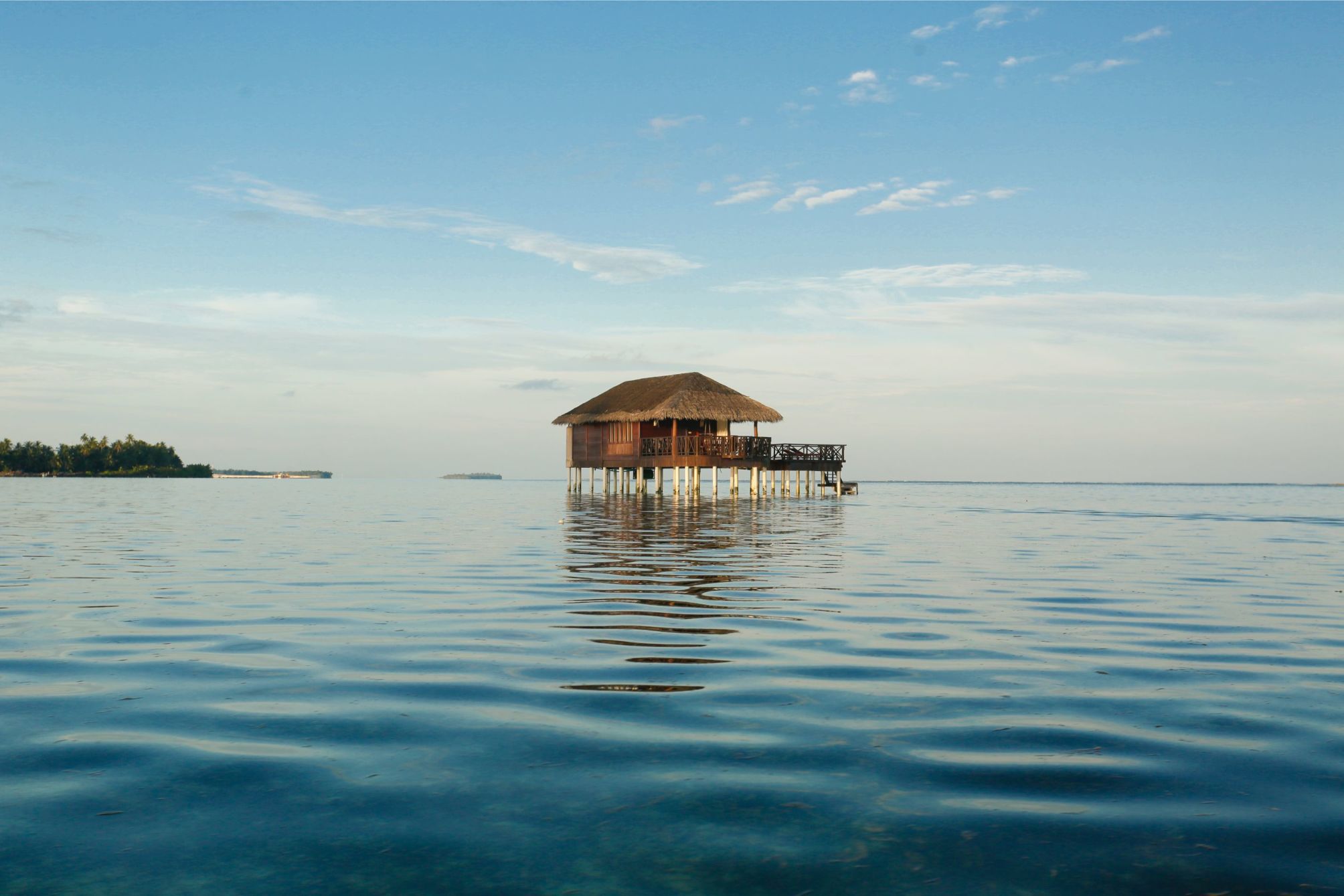 

Firenze - Atollo di Meemu - Medhufushi Island Resort