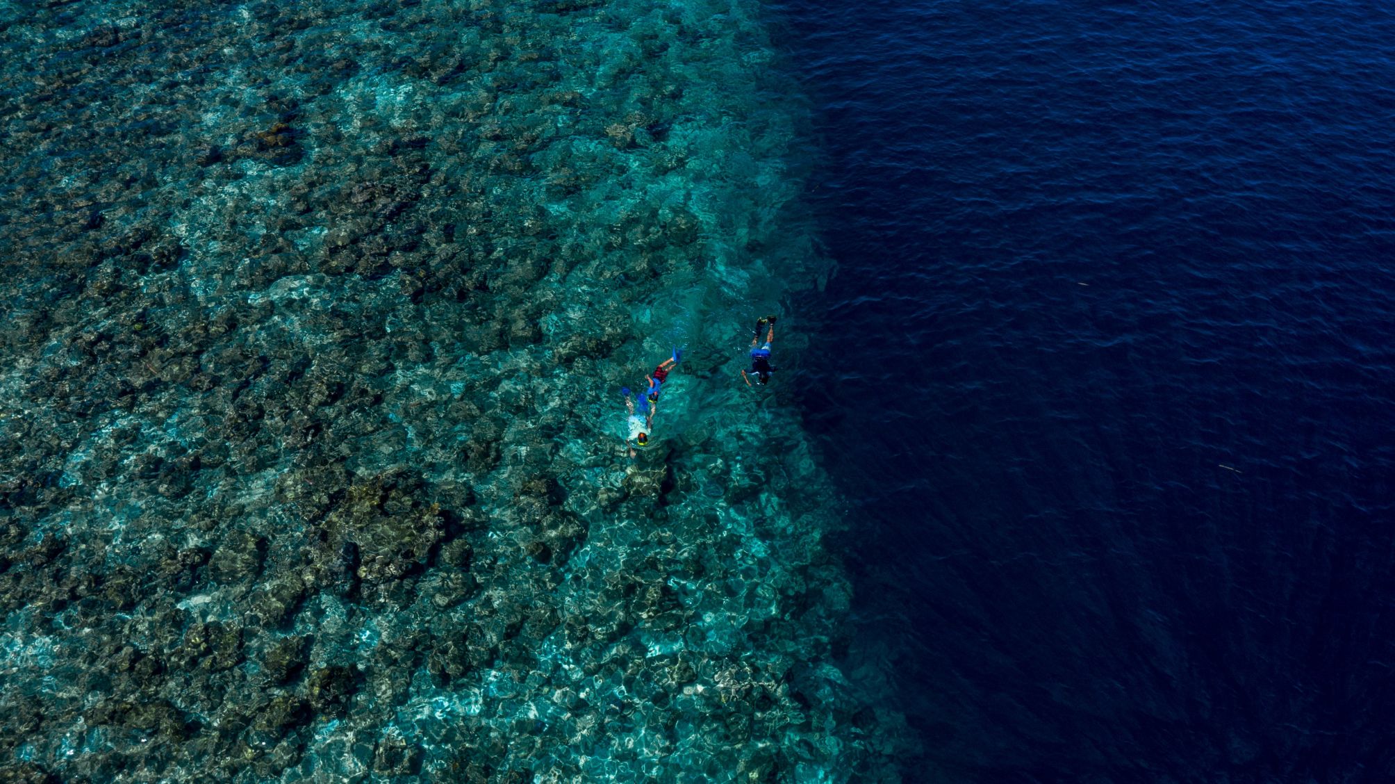 

Bari - Isola di Nalaguraidhoo - Sun Island - Filitheyo Island Resort