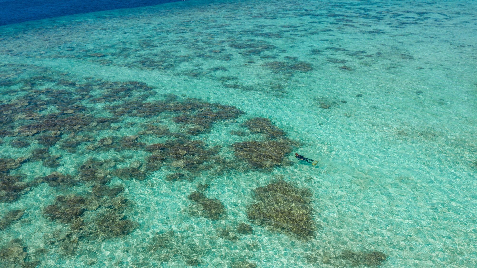 

Torino - Isola di Nalaguraidhoo - Sun Island - Filitheyo Island Resort