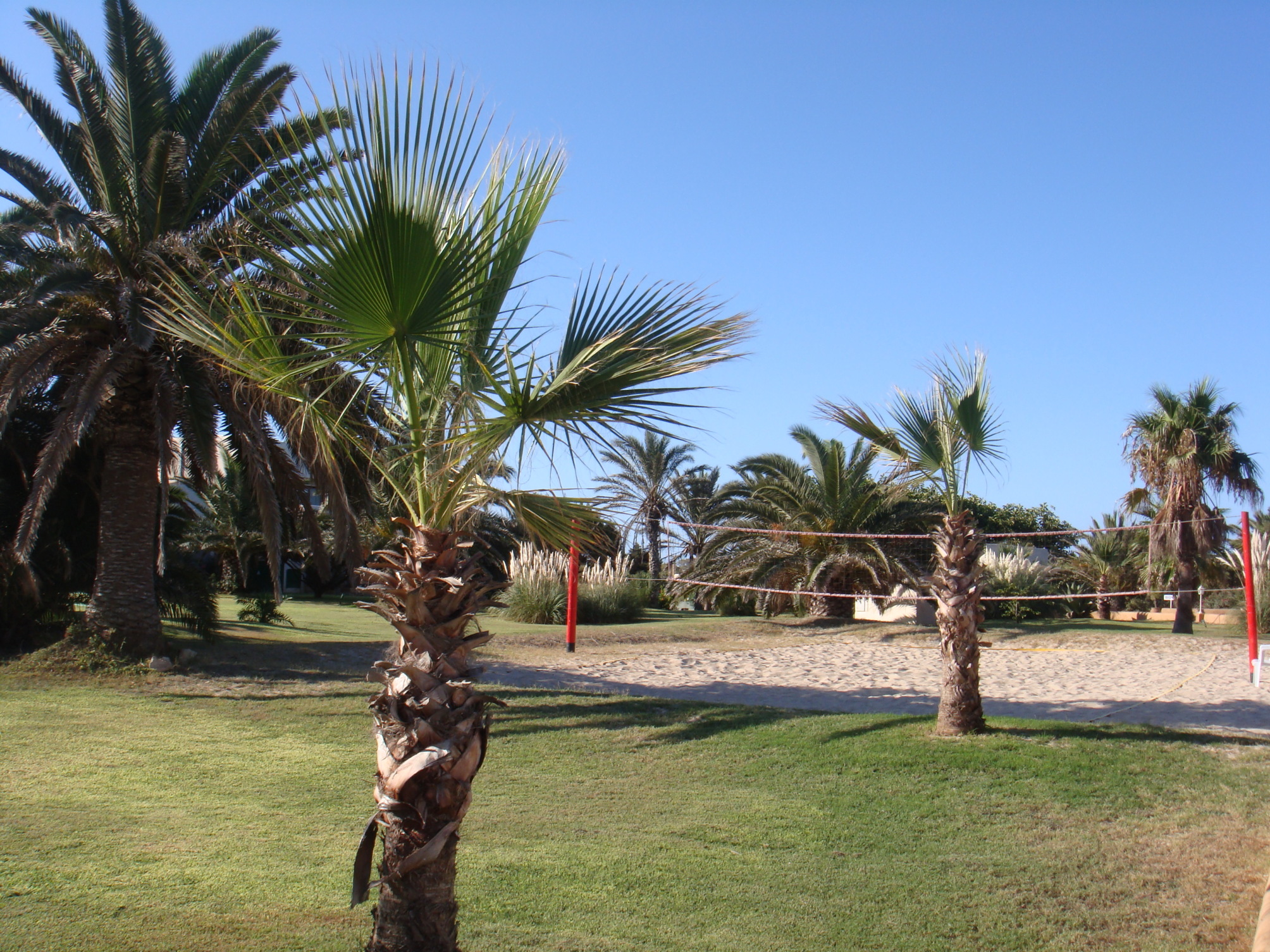 

Napoli - Formentera, Isole Baleari - Hotel Club Sunway Punta Prima