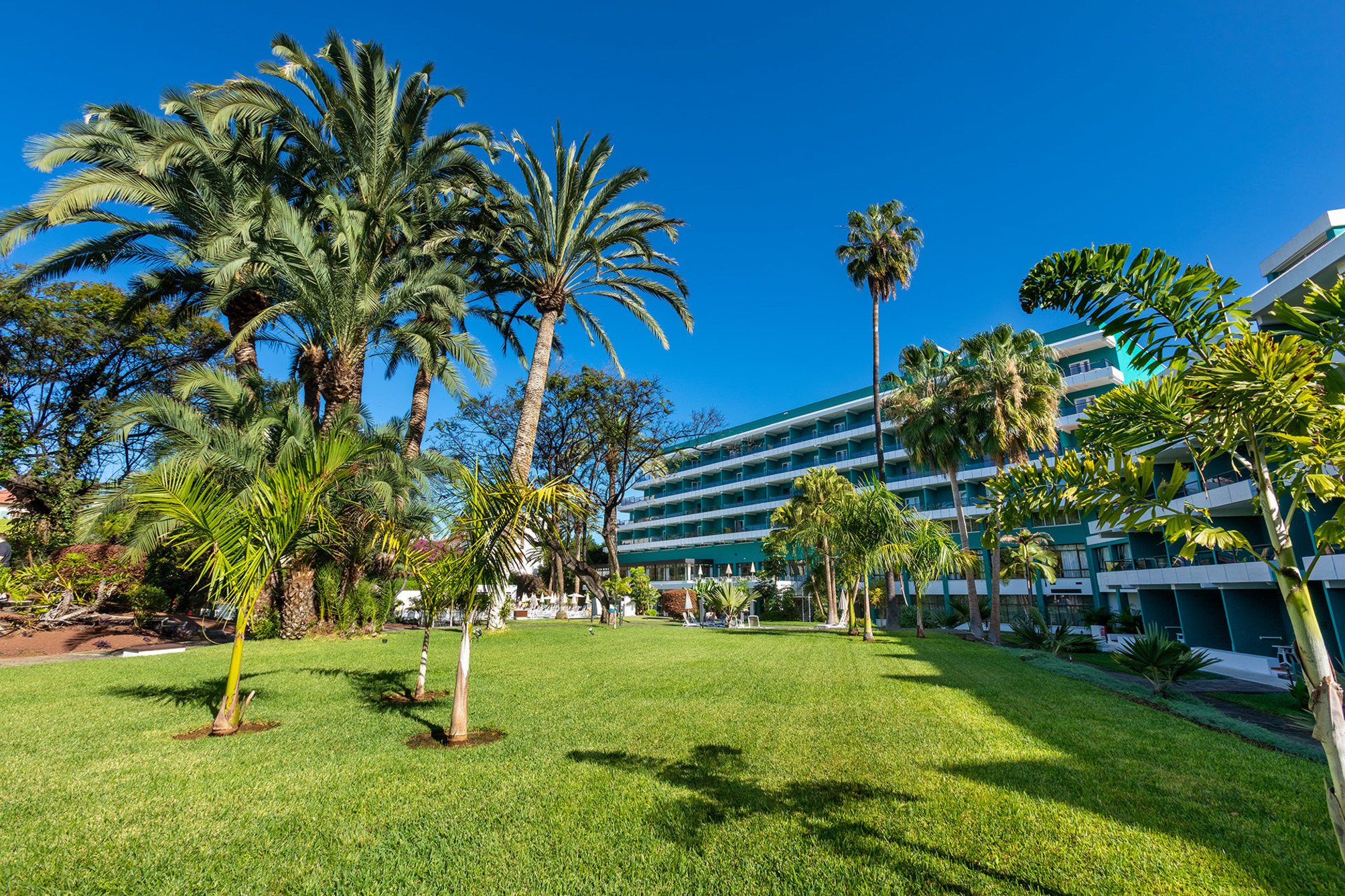 

Lamezia Terme - Tenerife, Isole Canarie - Trh Taoro Garden - Adults Only
