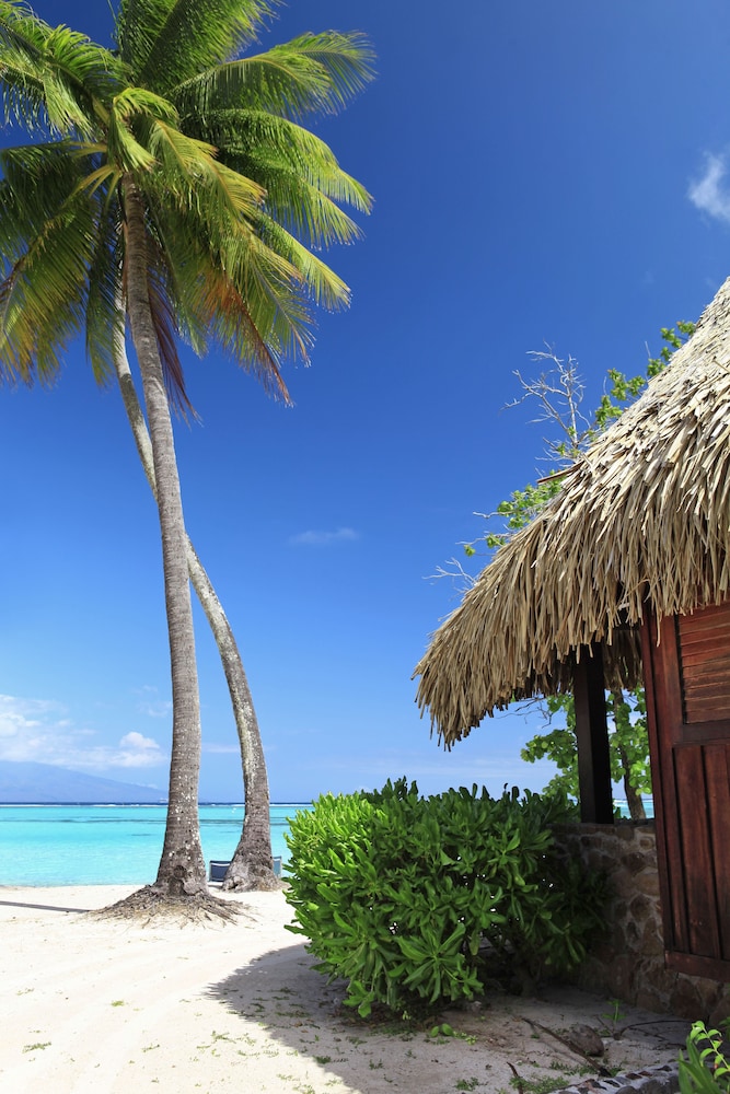 

Milano - Moorea - Sofitel Moorea Ia Ora Beach Resort