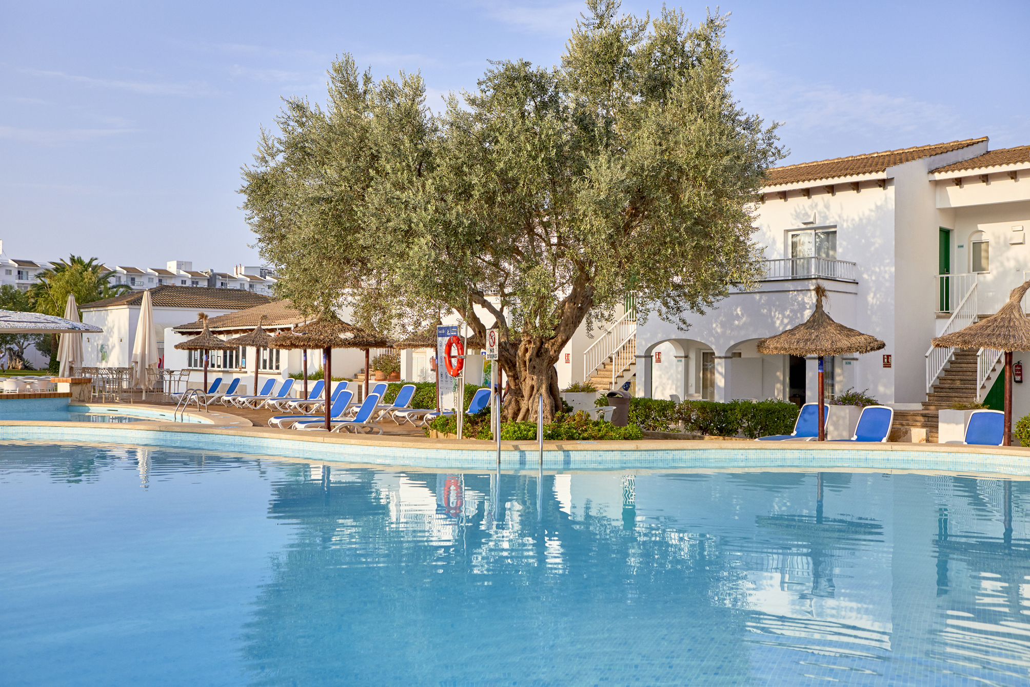 

Bologna - Puerto De Alcudia, Mallorca - Seaclub Alcudia Mediterranean Resort