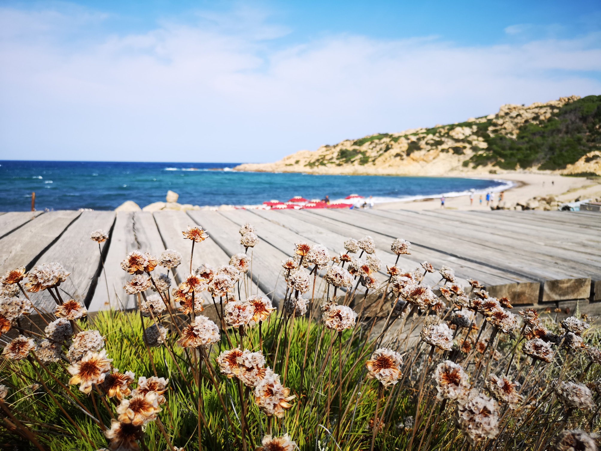 

Venezia - Vignola Mare - Club Esse Gallura