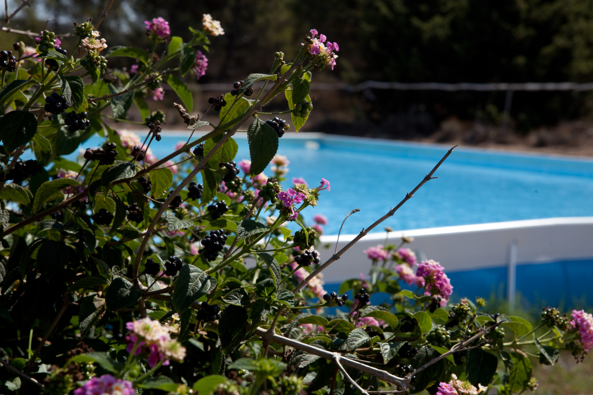 

Venezia - Vignola Mare - Club Esse Gallura
