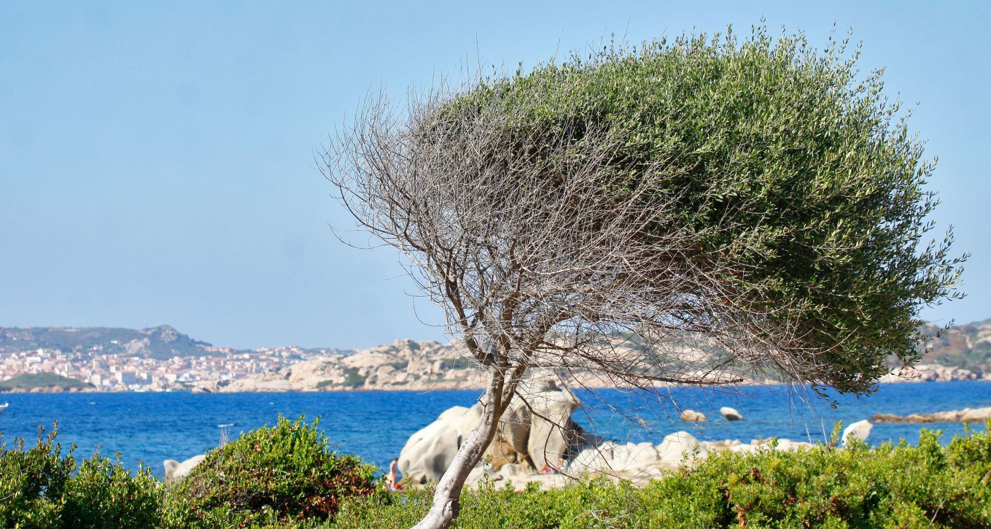 

Pisa - Baja Sardinia - Club Esse Residence Capo D'Orso
