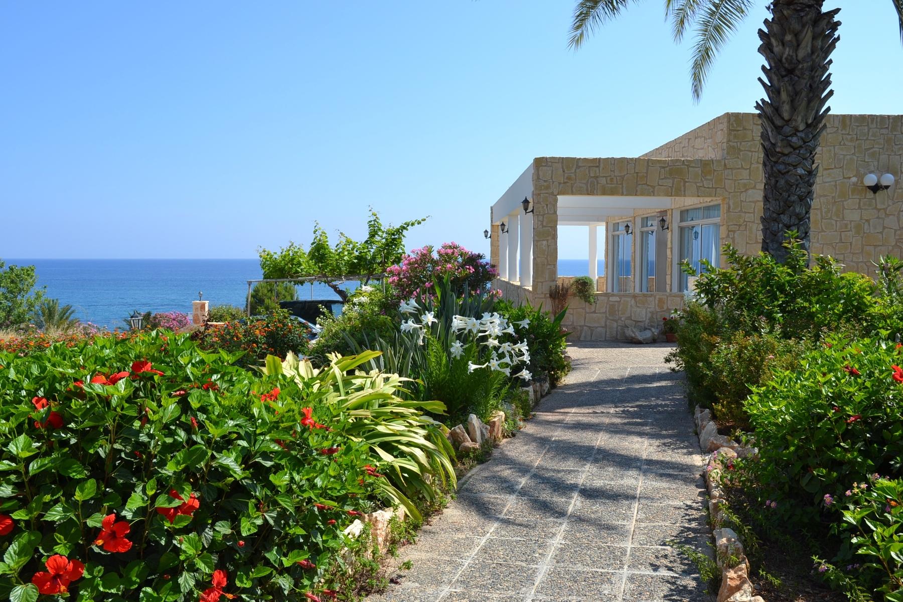 

Firenze - Polis - Aphrodite Beach Hotel
