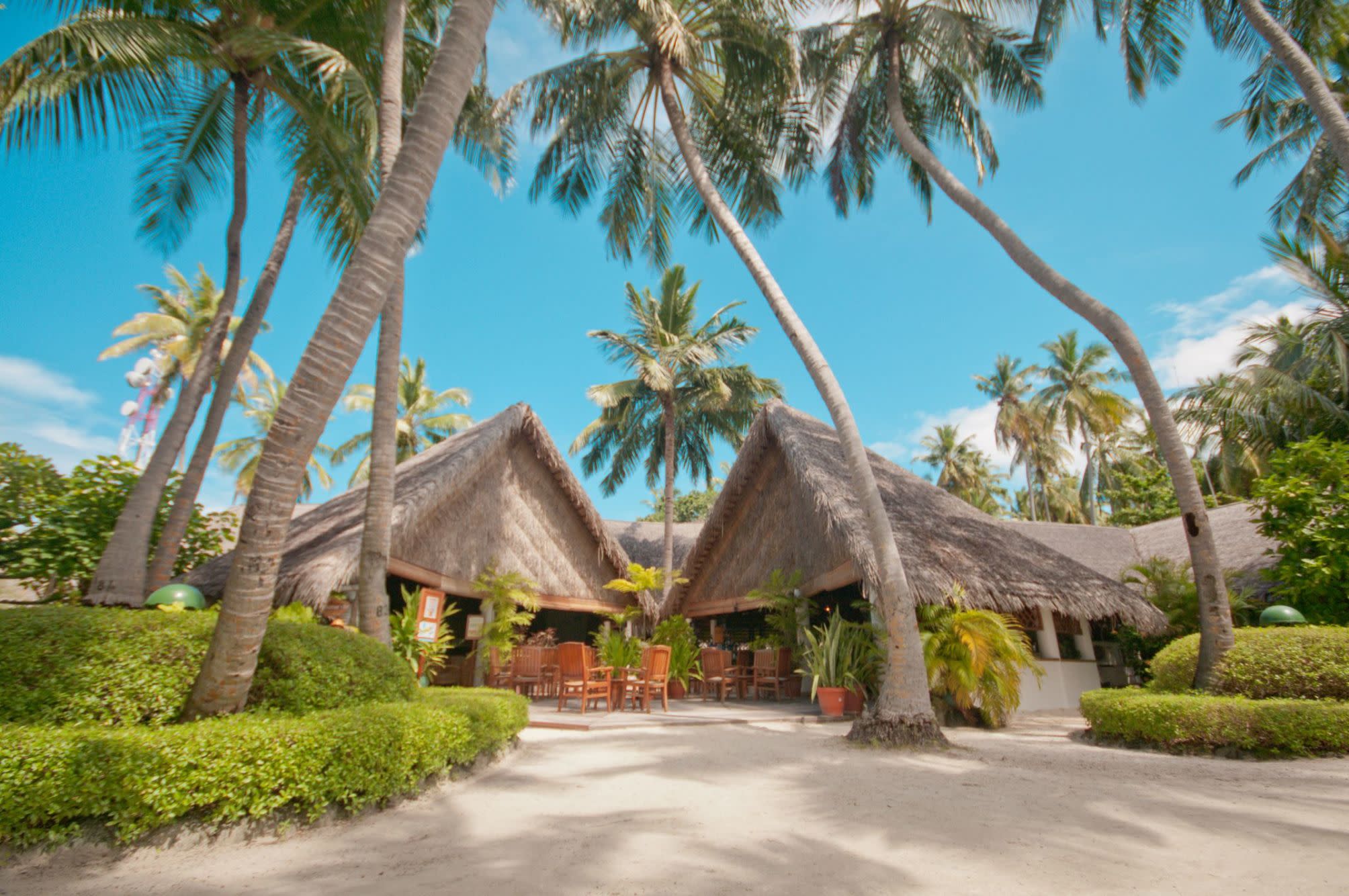 

Roma - Fihalhohi Island - Fihalhohi Maldives