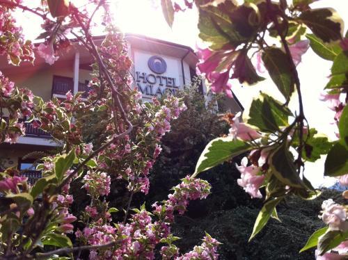 

Catania - Aosta - Hotel Miage