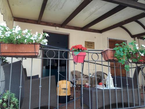 

Roma - Orvieto - Hotel Picchio