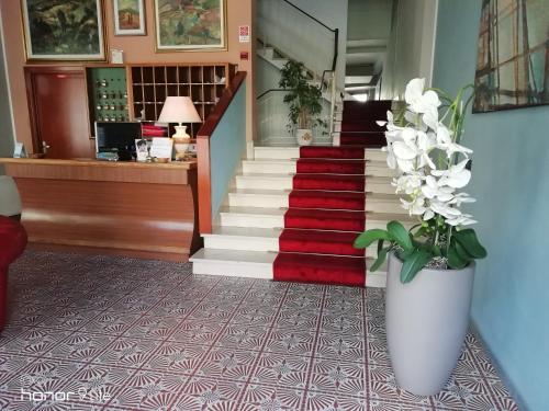 

Roma - Arezzo - Hotel San Marco
