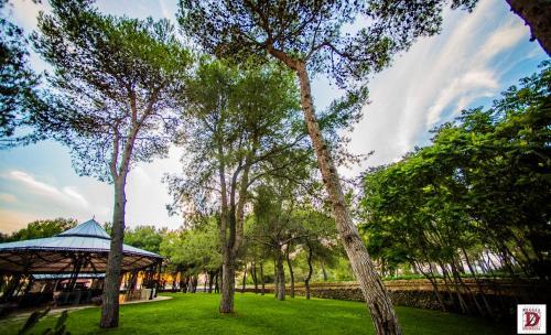 

Bologna - Manduria - Relais Reggia Domizia