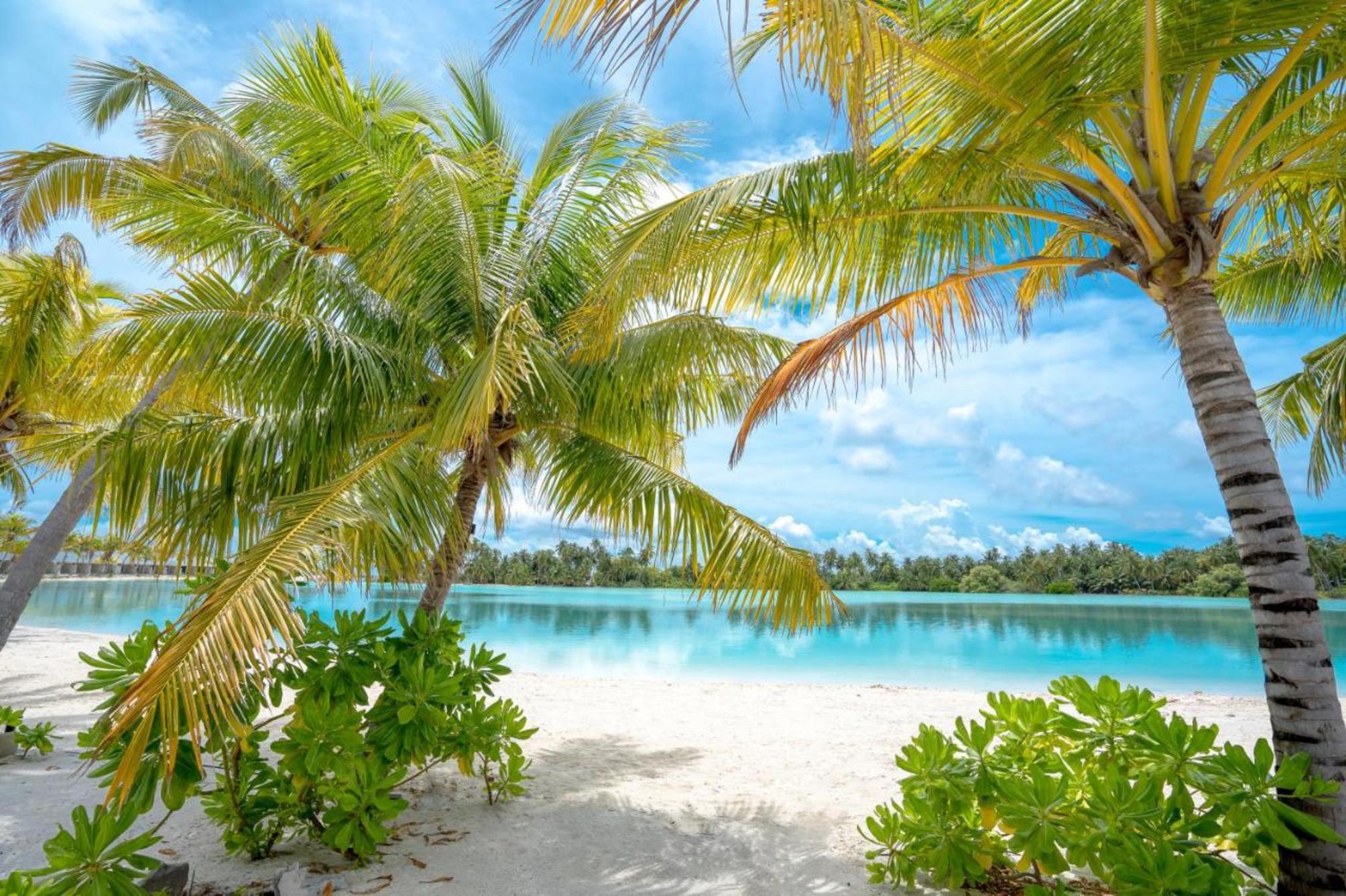 

Napoli - Atollo di Laamu - Rahaa Resort