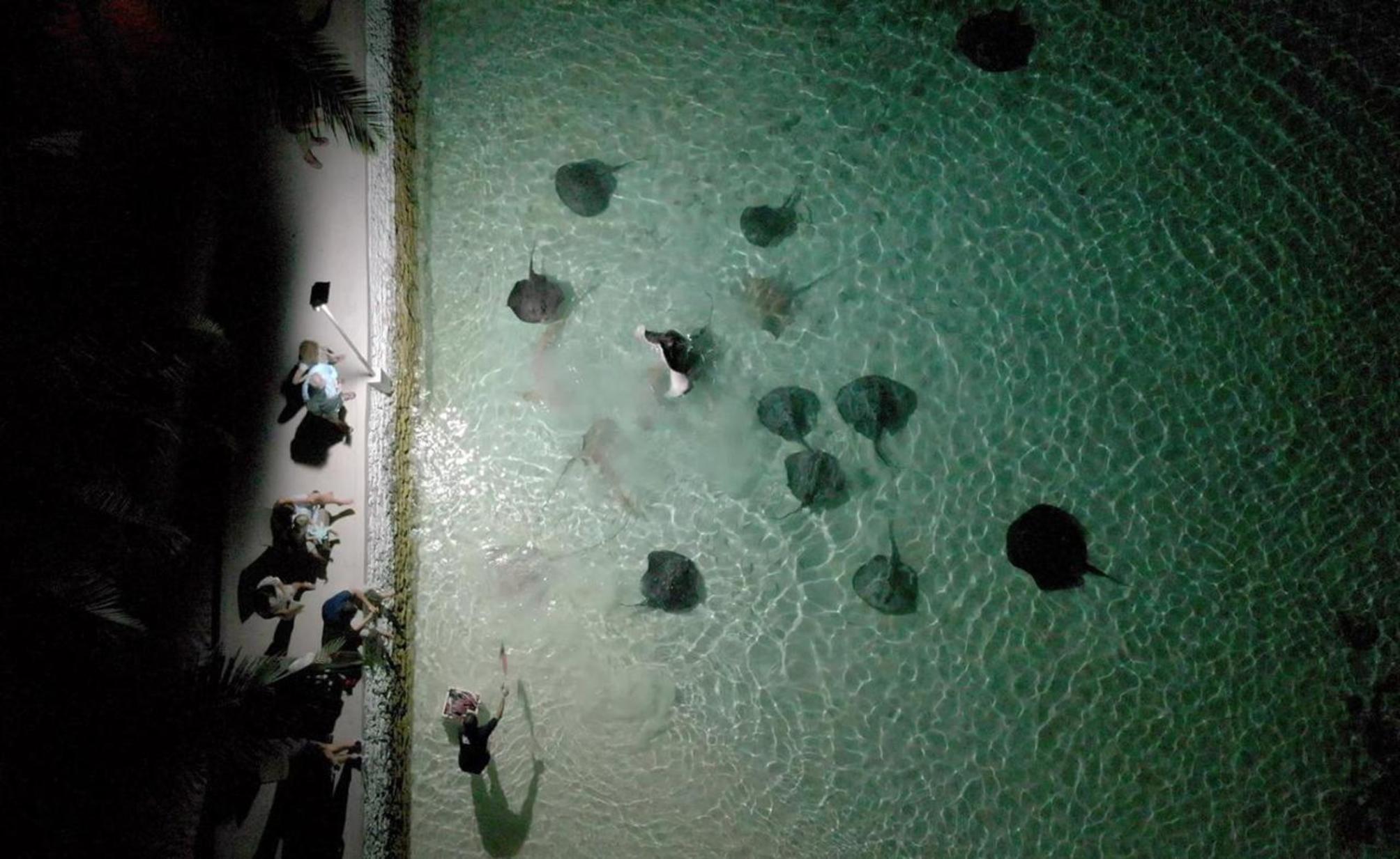 

Reggio Calabria - Mathiveri - Nika Island Resort & Spa, Maldives