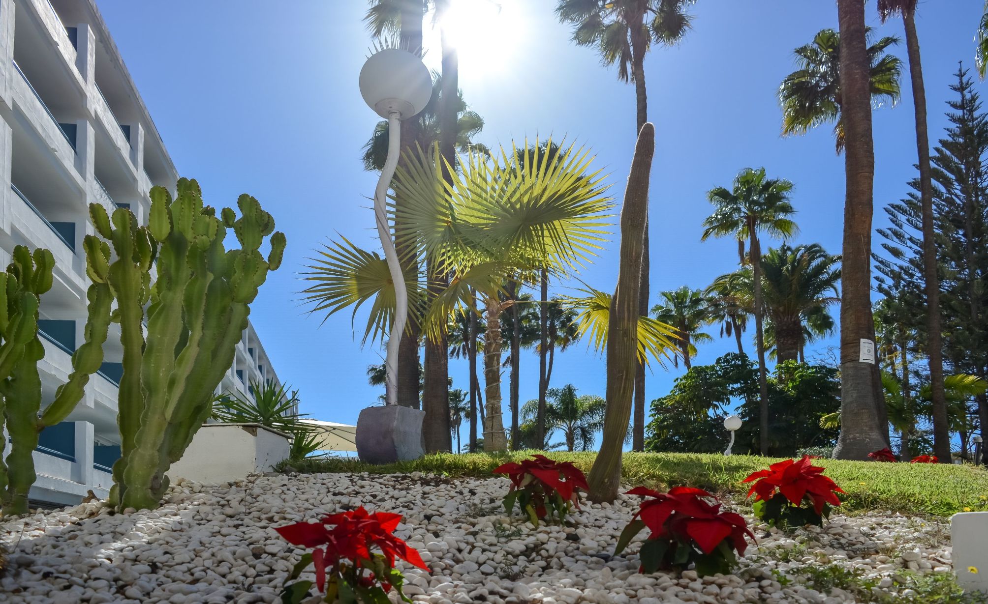 

Genova - Salobre - Playa Del Sol - Adults Only