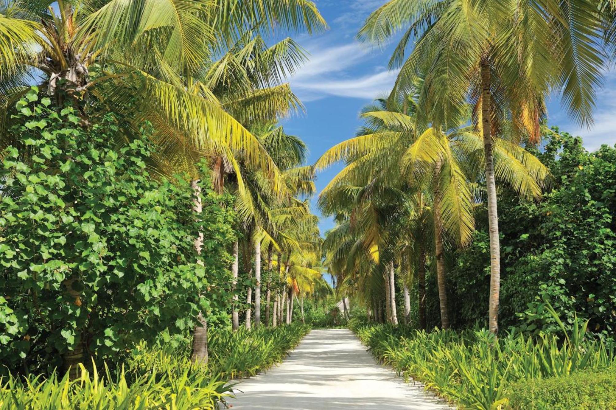 

Roma - Gaafu Dhaalu Atoll - Ayada Maldives