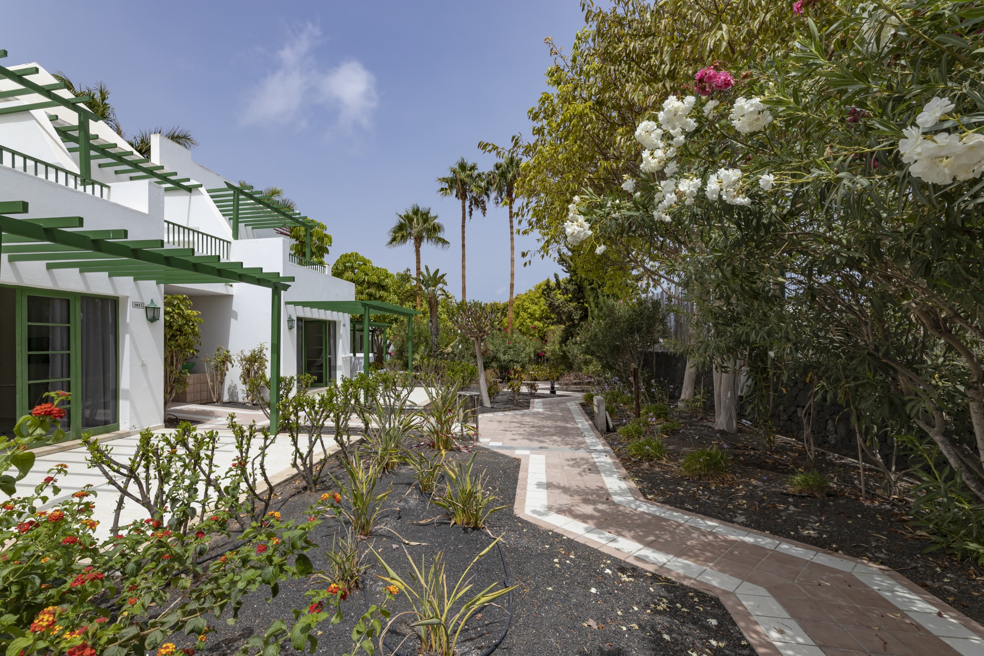 

Torino - Lanzarote, Isole Canarie - THB Royal Hotel