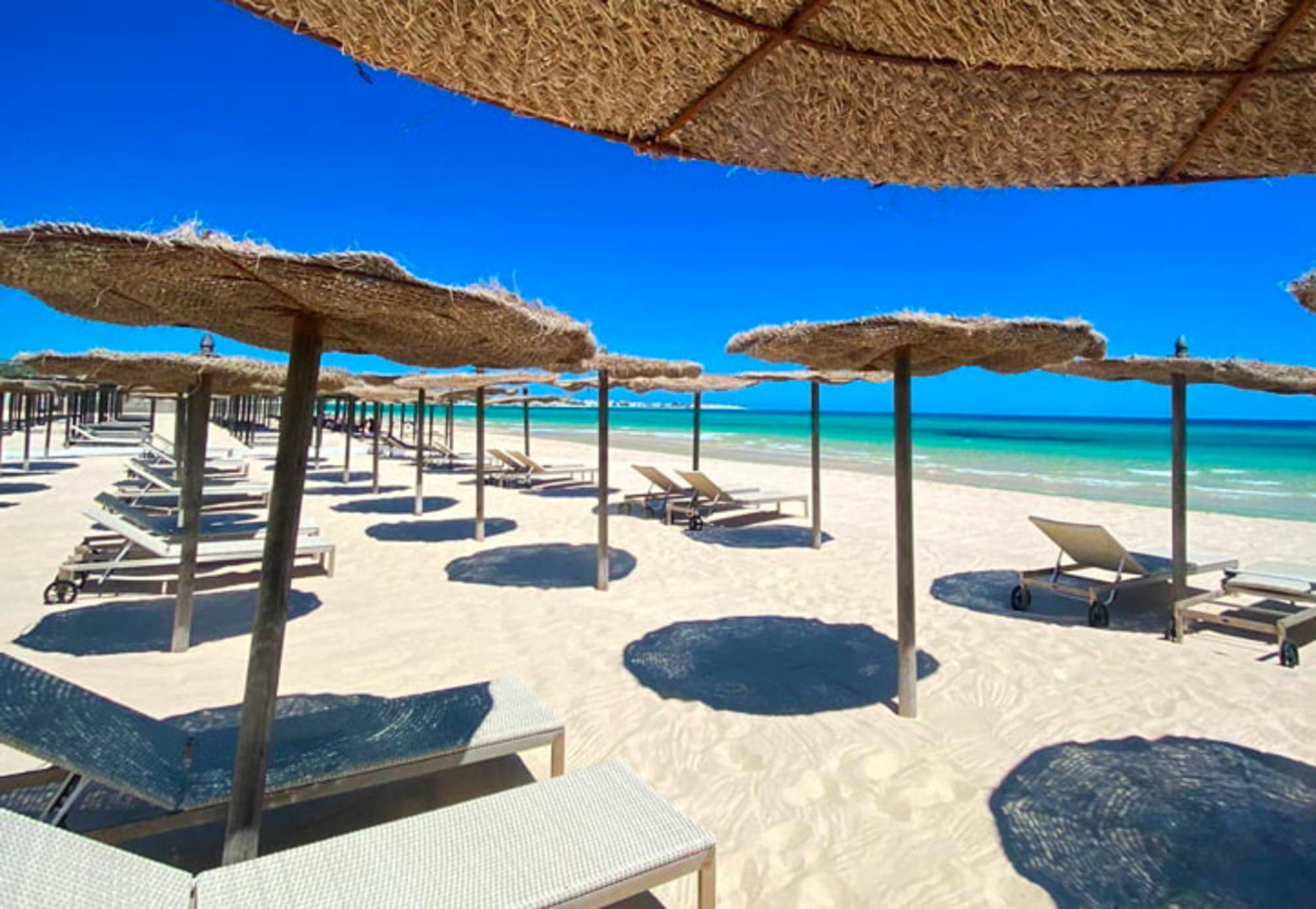 

Milano - Djerba e la costa di Zarzis, Tunisia mare - Zenon