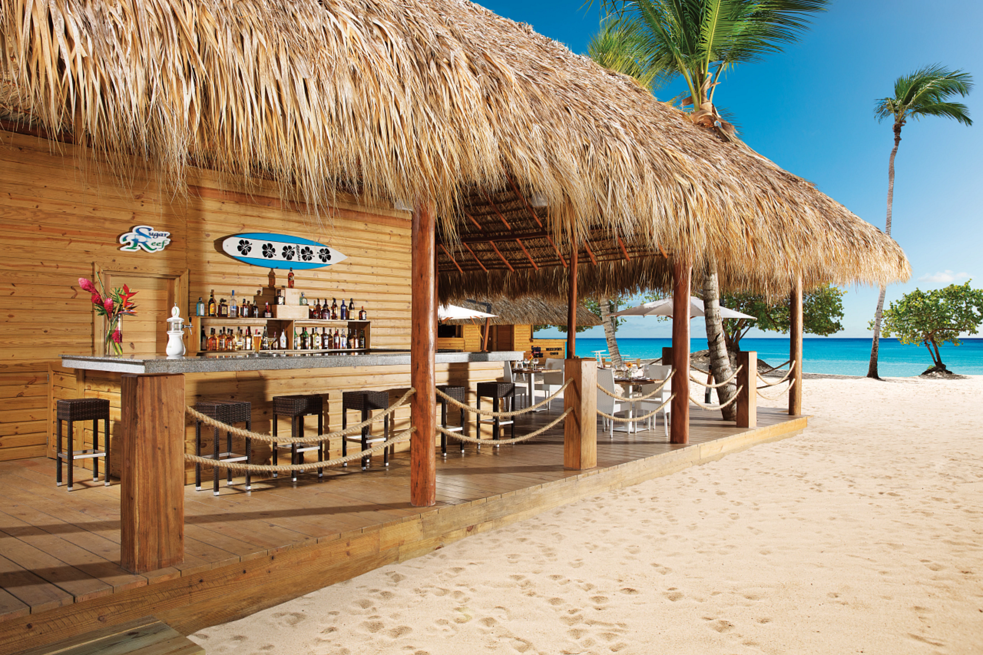 

Brindisi - Bayahibe - Dreams Dominicus La Romana