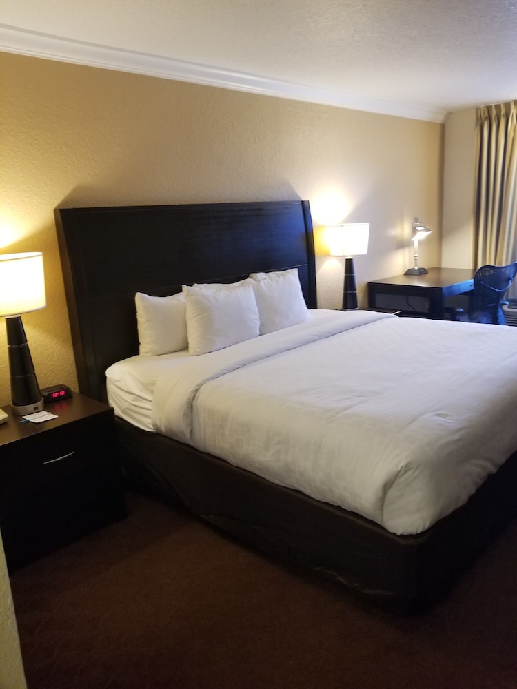 

Milano - Clearwater (FL) - Clarion Inn & Suites Central Clearwater Beach