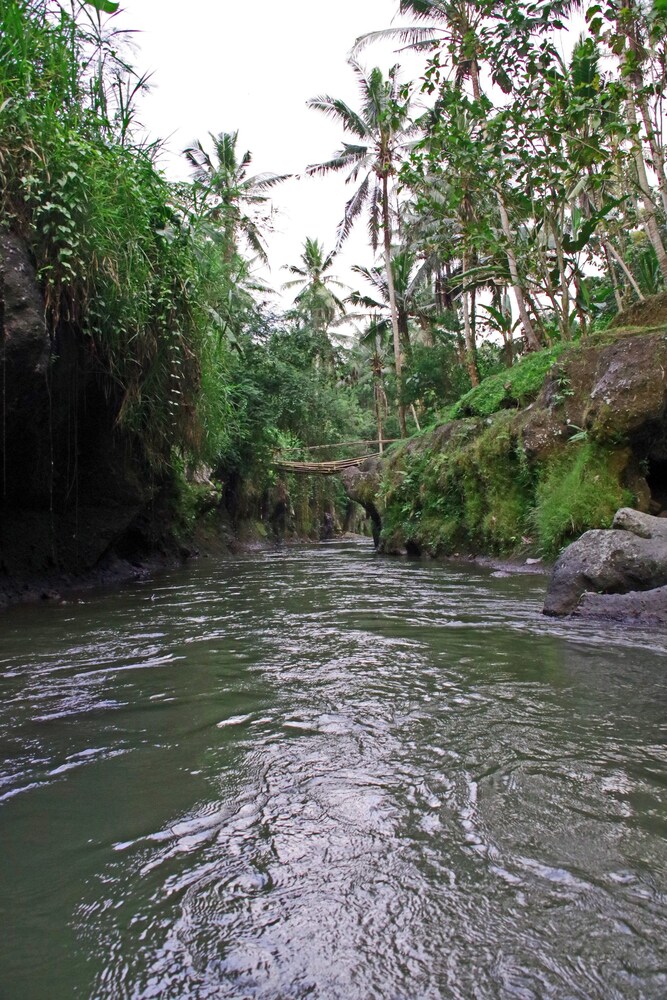 

Napoli - Ubud - Bali - Ubad Retreat