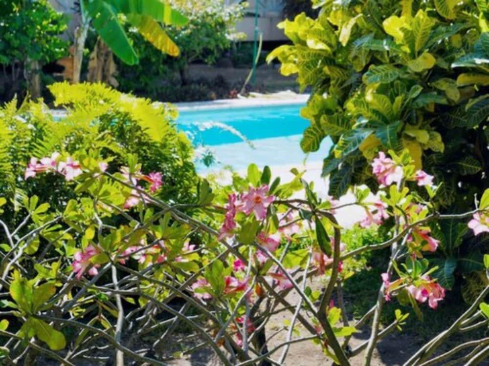 

Roma - Tahiti, Polinesia francese - Pension de la Plage