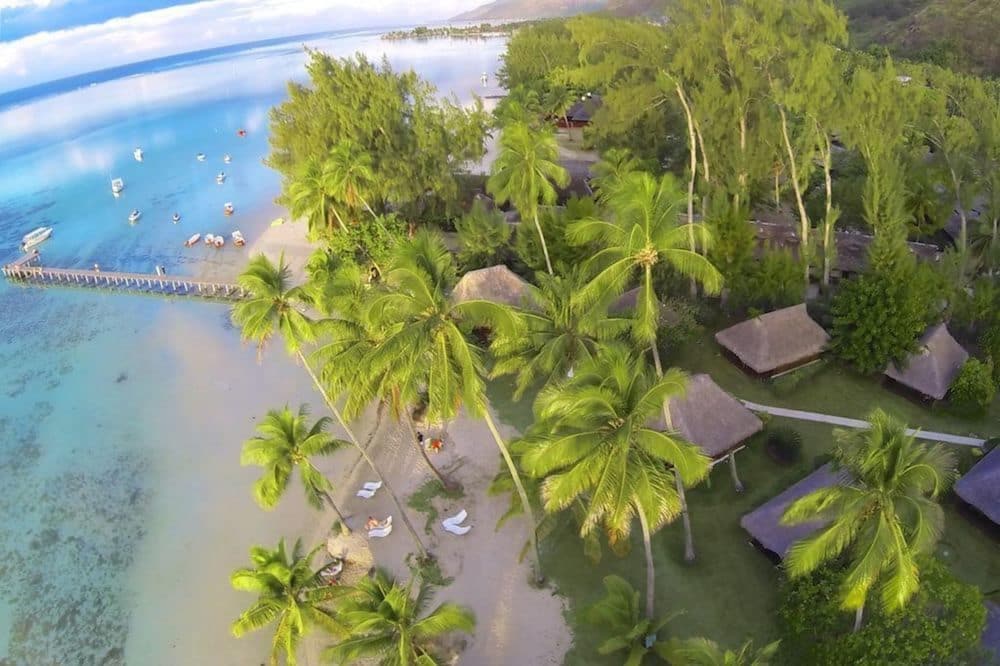 

Milano - Moorea - Les Tipaniers