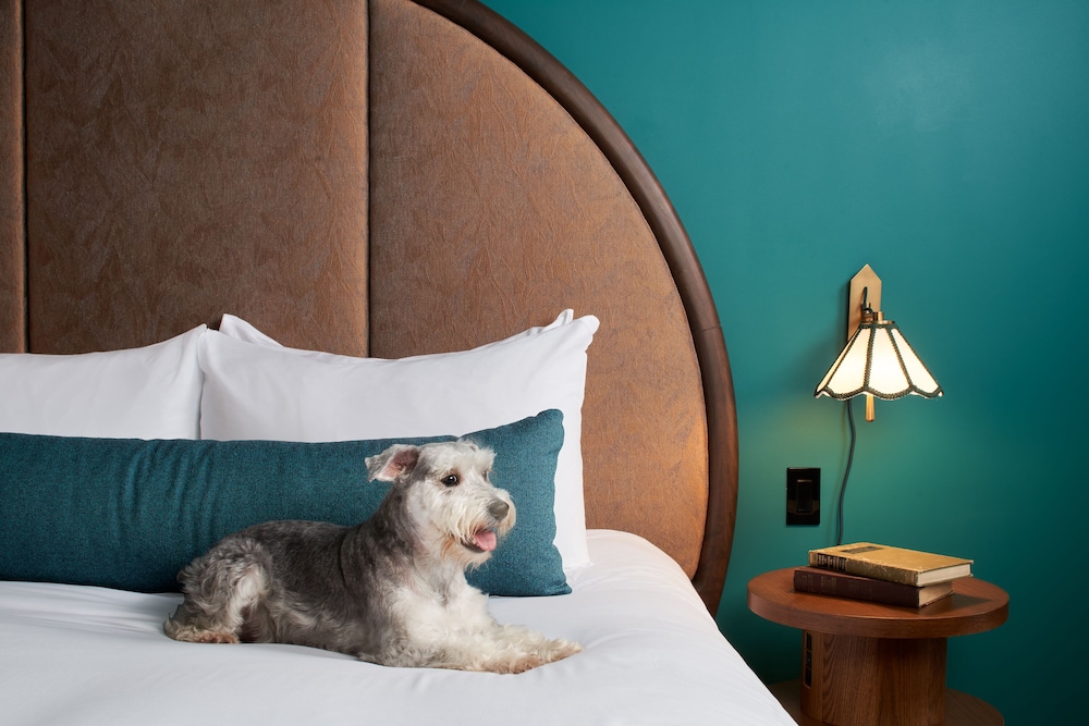 

Bologna - Key Biscayne - Mayfair House Hotel & Garden