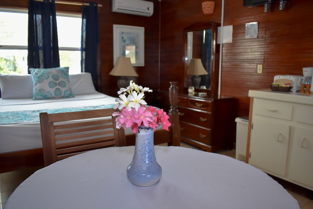 

Bologna - Antigua e Barbuda, Caraibi - Catamaran Hotel Marina