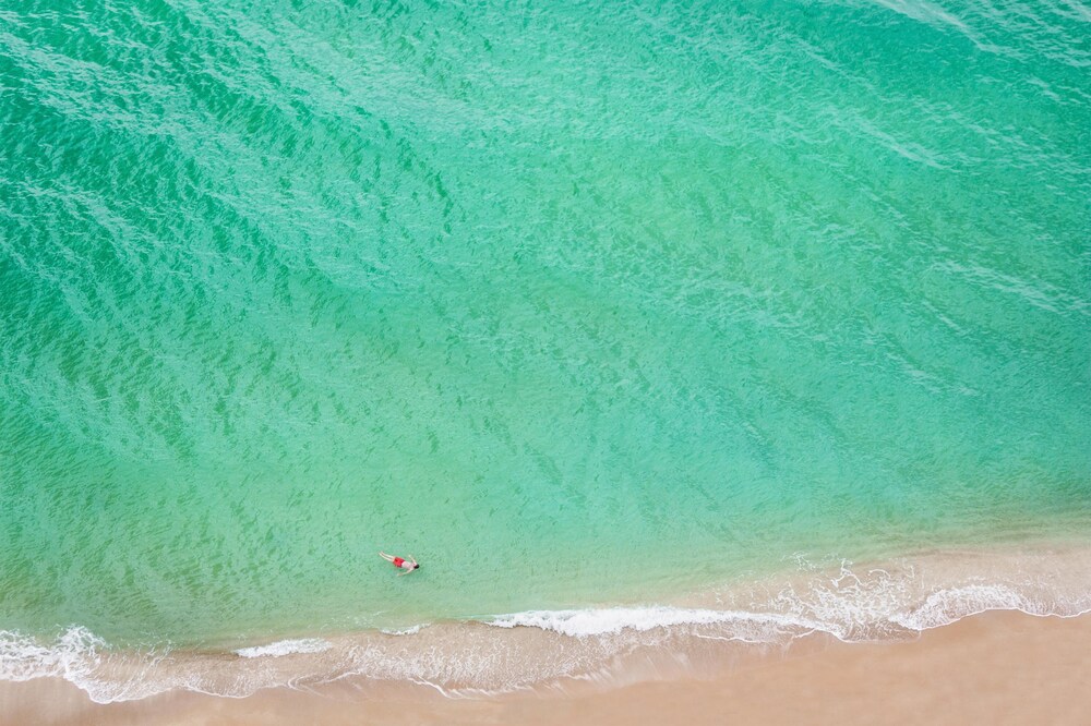 

Milano - Sunny Isles Beach - Solé Miami, A Noble House Resort