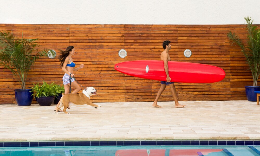 

Roma - Miami, Florida - Solé Miami, A Noble House Resort