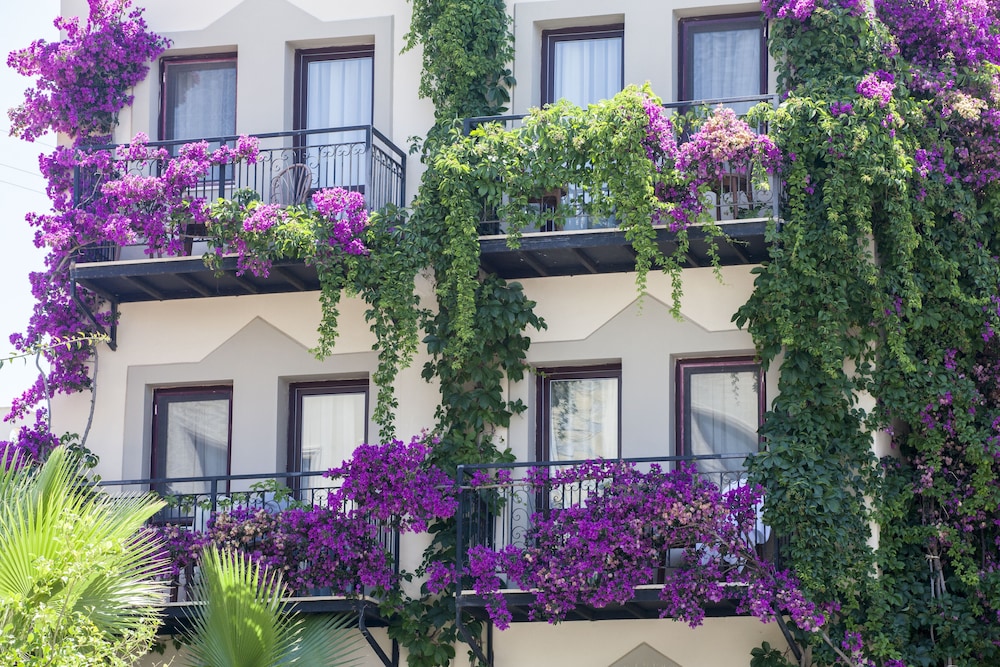 

Venezia - Turgutreis - Golden Age Crystal Bodrum - All inclusive