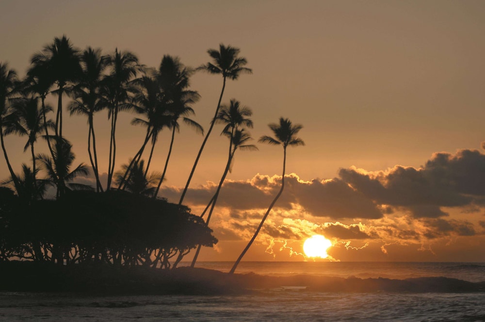 

Venezia - Waikoloa - Fairmont Orchid Gold Experience