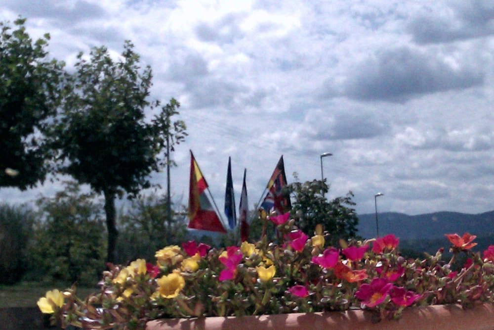 

Roma - Monteriggioni - Hotel I Platani