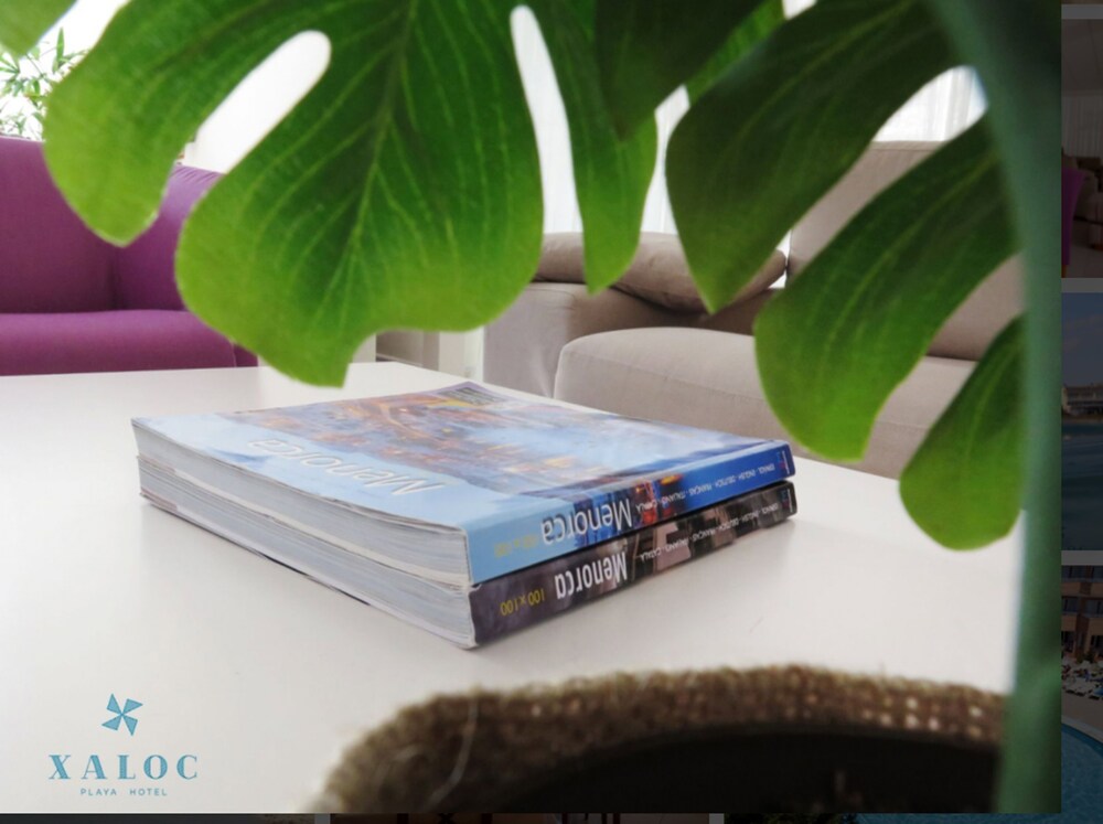 

Milano - Es Castell - Hotel Xaloc Playa